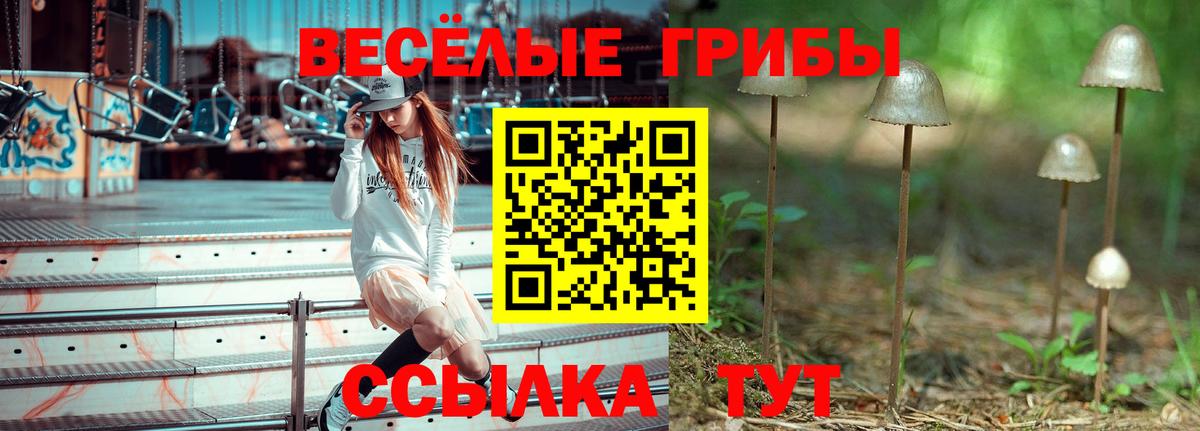 наркота  Галлюциногенные грибы Cubensis  Псилоцибиновые грибы мицелий  Вход с VPN  Петровск 